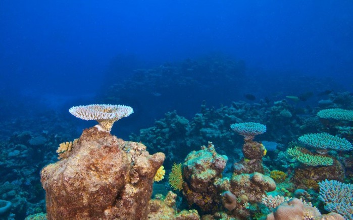 Картографирование Большого Барьерного рифа
