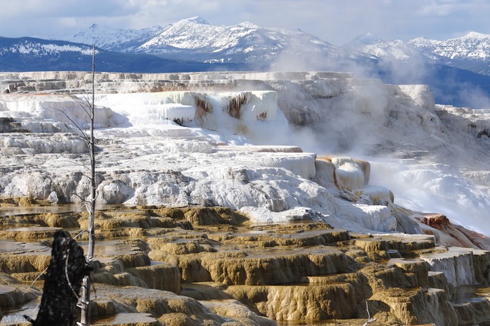 Mammoth Hot Springs 81283