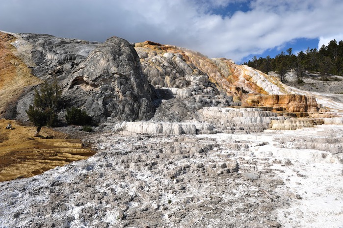 Mammoth Hot Springs 11474