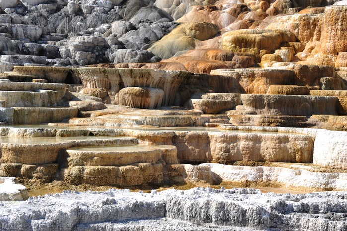 Mammoth Hot Springs 25779