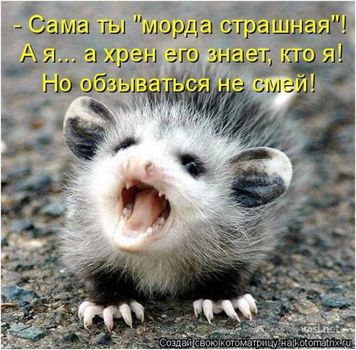 Ѹ  