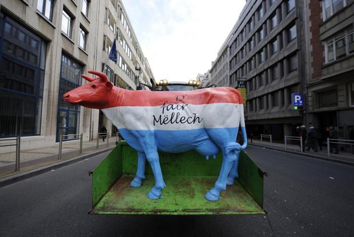 Европейские фермеры пришли в Брюссель с молоком