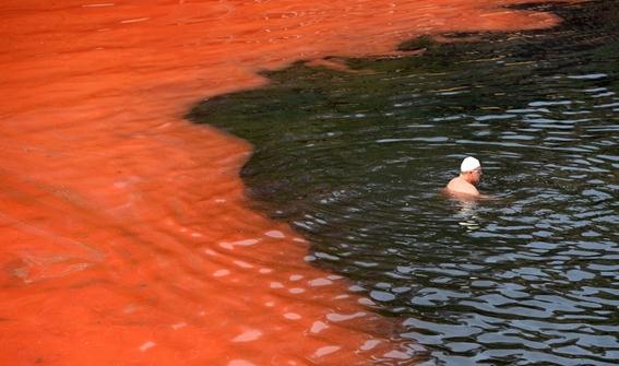 Вода стала кроваво-красной у побережья Австралии