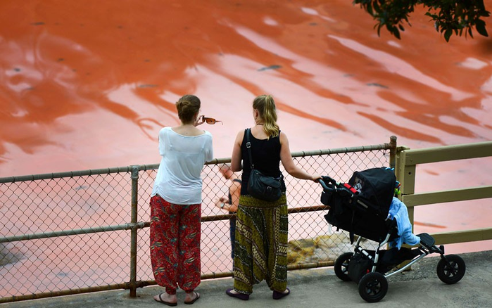 Сиднейские пляжи закрыли из-за красных водорослей