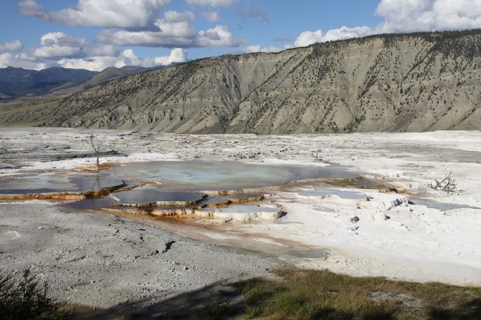 Mammoth Hot Springs 86815