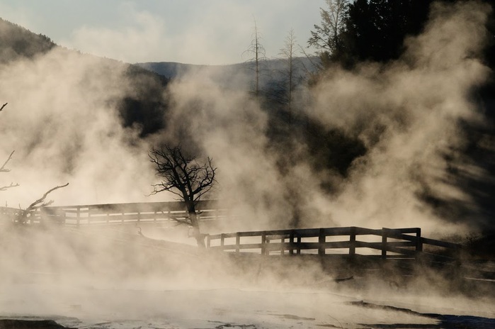 Mammoth Hot Springs 16554