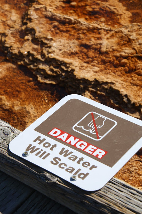 Mammoth Hot Springs 55768