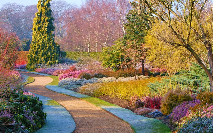 Красота садов в зимний период (Beautiful gardens in winter)