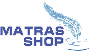 logo_matrashop_main (300x171, 43Kb)