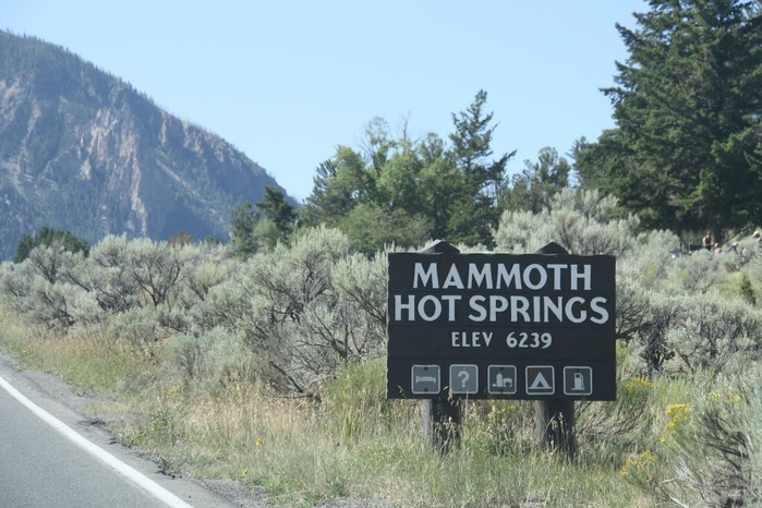 Mammoth Hot Springs 78408