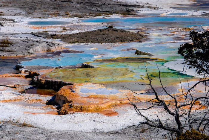 Mammoth Hot Springs 78552