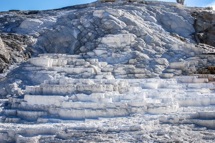 Mammoth Hot Springs 20915