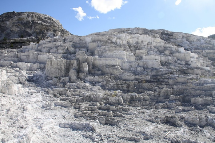 Mammoth Hot Springs 46533