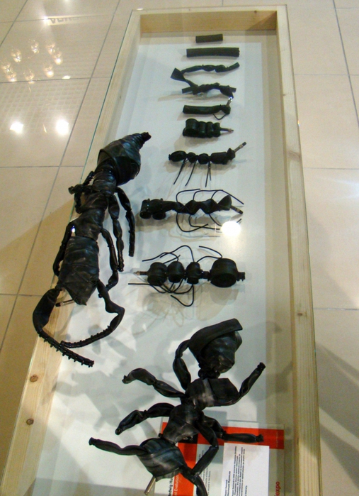 658348_DSC01487 (507x700, 274Kb)