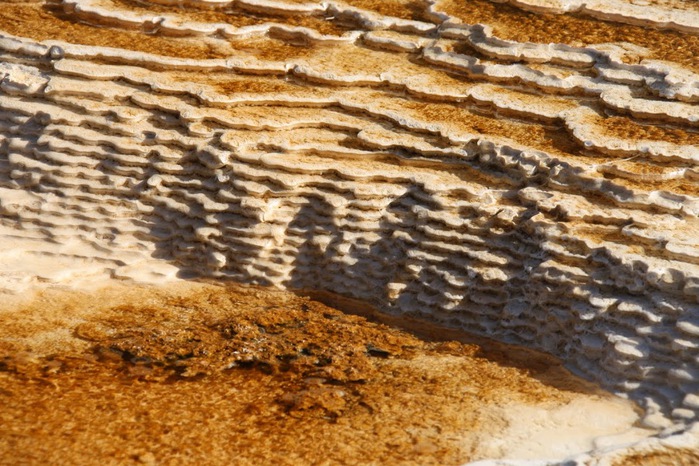 Mammoth Hot Springs 61505