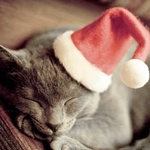 3890385_Almost_Christmas_by_dianazh (150x150, 11Kb)