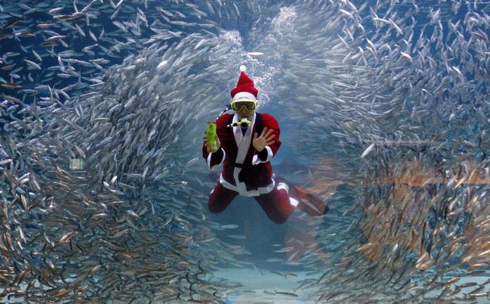 Подводные Санта-Клаусы