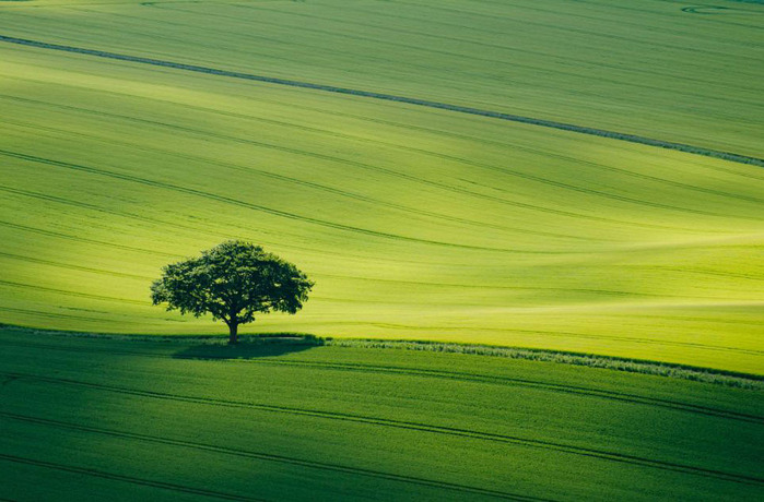 3 (700x460, 106Kb)