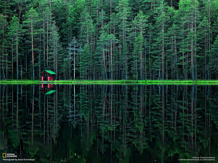 8 (700x525, 205Kb)