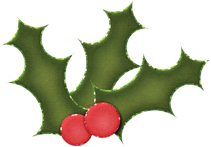 CGD_rooftop_holly (700x488, 274Kb)