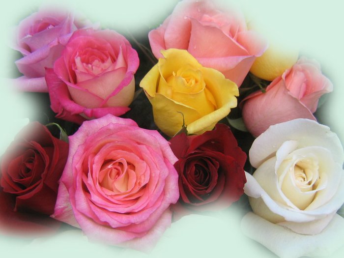 roses_bouquet_3568 (700x525, 53Kb)