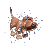 4893934_0b0692232945ff49ffc7bb5837bec963 (169x169, 42Kb)