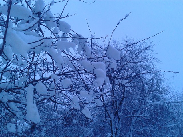 snow3 (640x480, 107Kb)