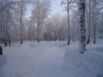  DSC02209 (700x525, 282Kb)