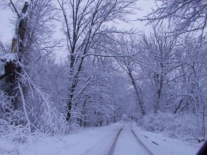 Winter road scene (700x525, 172Kb)