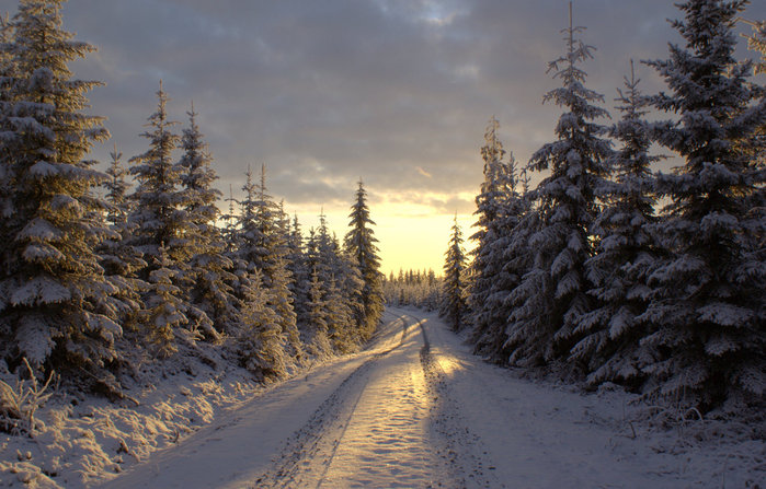Winter_road_by_lexious (700x447, 105Kb)