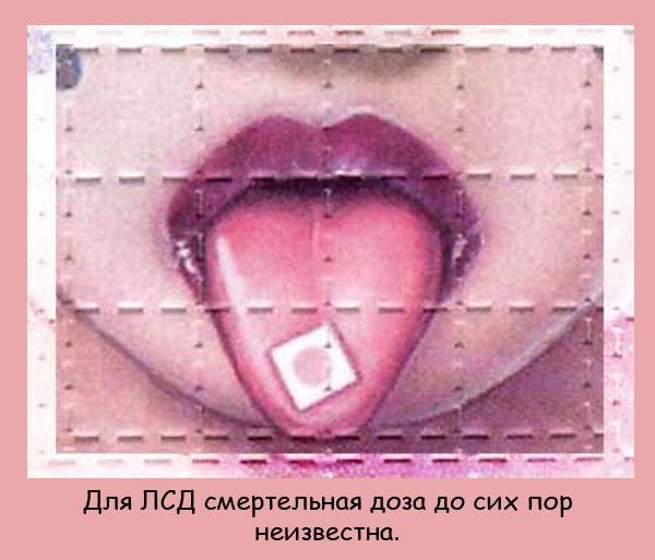 95418756_fakti_04 (600x513, 61Kb)
