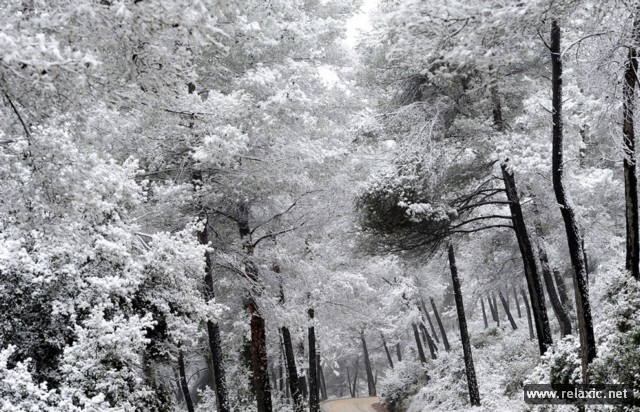 nature-2012-00006 (640x412, 129Kb)