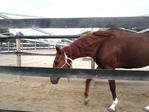  P141212_16.50_[01] (700x525, 262Kb)