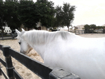  P141212_16.53 (700x525, 263Kb)