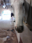  P141212_16.58_[02] (525x700, 231Kb)