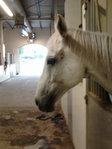  P141212_16.58_[03] (525x700, 246Kb)