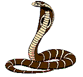 змеяан (164x152, 41Kb)