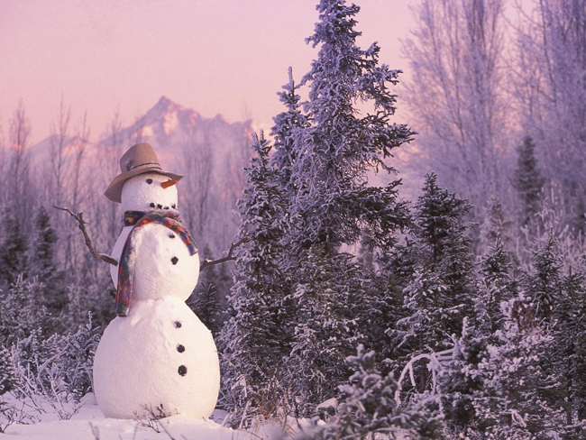 http://img1.liveinternet.ru/images/attach/c/7/95/665/95665027_large_frostysnowmanwallpapers0s.jpg