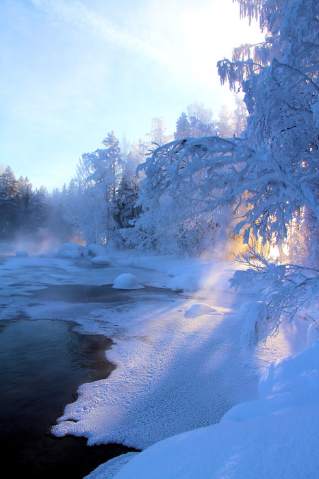 winterscape_13 (466x700, 388Kb)