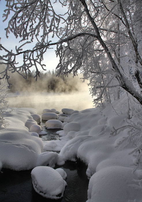 winterscape_12 (492x700, 104Kb)