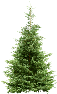 http://img1.liveinternet.ru/images/attach/c/7/95/883/95883215_0_73d50_d1207f7c_M.png