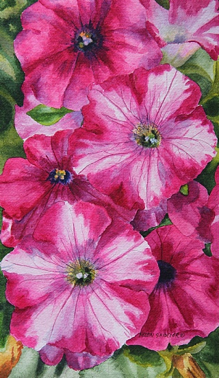 peppermint-candy-petunias (320x550, 114Kb)