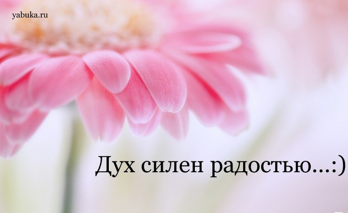 http://img1.liveinternet.ru/images/attach/c/7/96/100/96100395_large_vetton_ru_2czh1920x1200kopiya.jpg