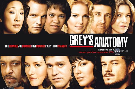 4539987_greys_anatomy_ver4 (535x353, 82Kb)