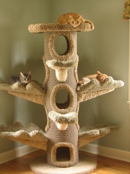 Самый простой домик для кошки