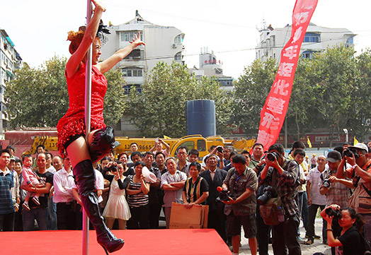 4208855_3_pole_dance (524x361, 106Kb)