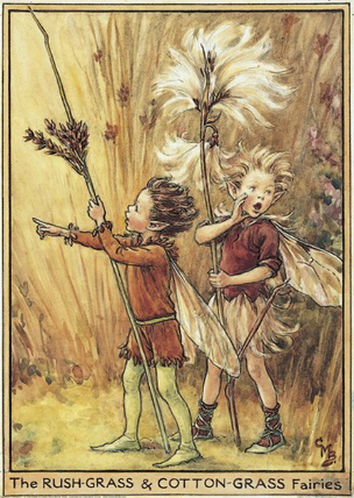 Цветочные феи от Cicely Mary Barker Обсуждение на Блоги на Труде