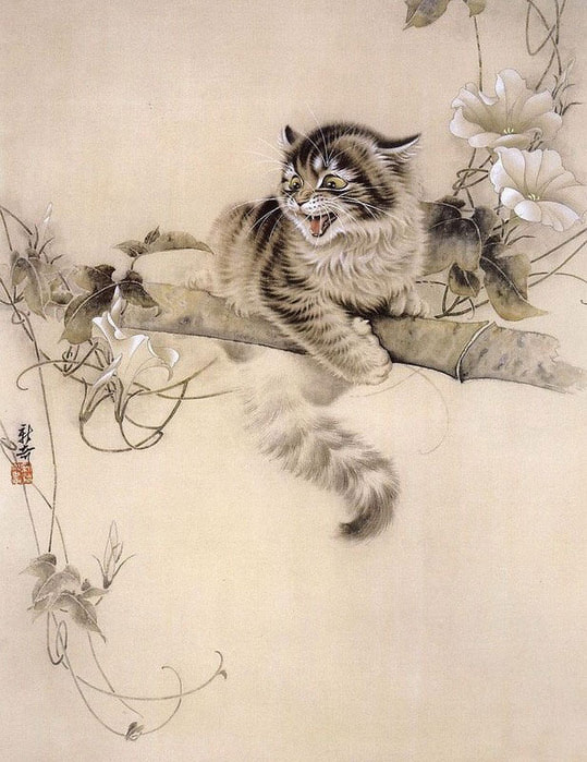 Котята от Xu Xinqi.