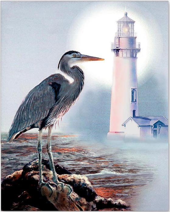Blue heron In the circle of light (559x700, 66Kb)