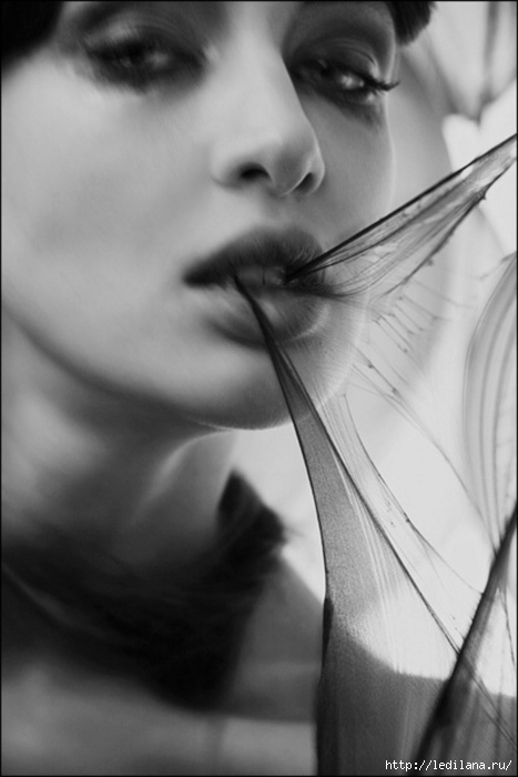 tumblr_lhfhodgW2a1qg7xwvo1_500 (467x700, 121Kb)